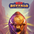 Big Buffalo